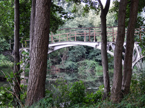 Brücke