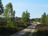 Lneburger Heide