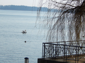 Fontanestadt-Neuruppin